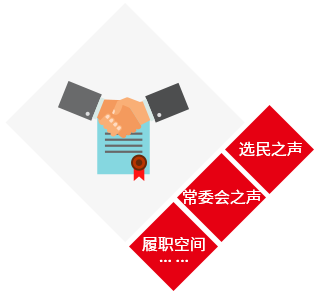 双联建议办理系统